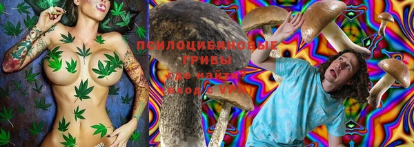 гашик Волоколамск