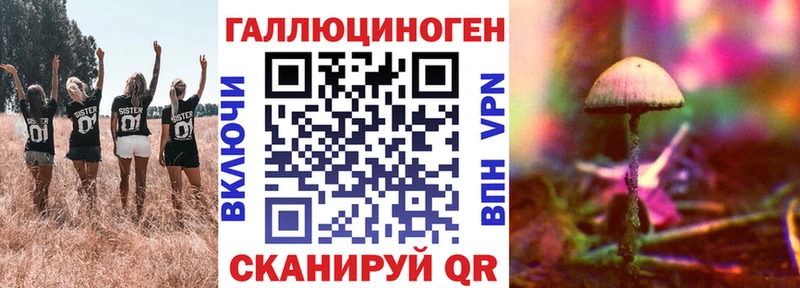 Псилоцибиновые грибы GOLDEN TEACHER  купить  сайты  omg как войти  Якутск 